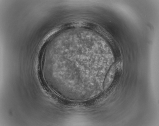 X0000112930724200909211113