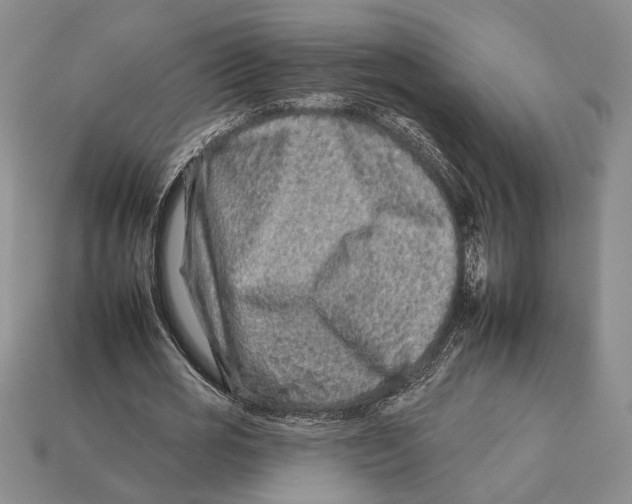 X0000112930725200909211113