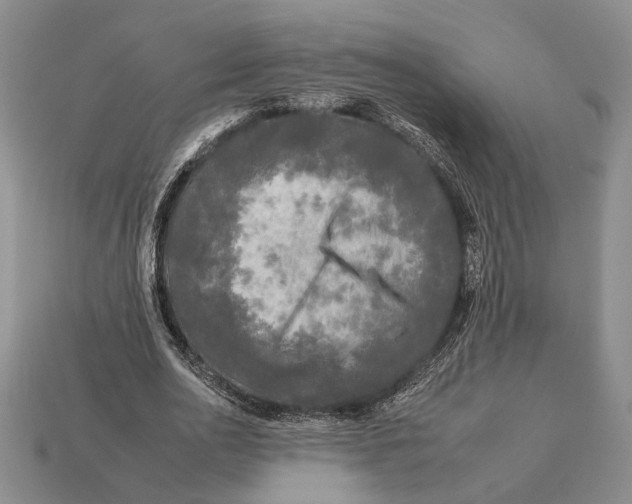 X0000112930726200909211113