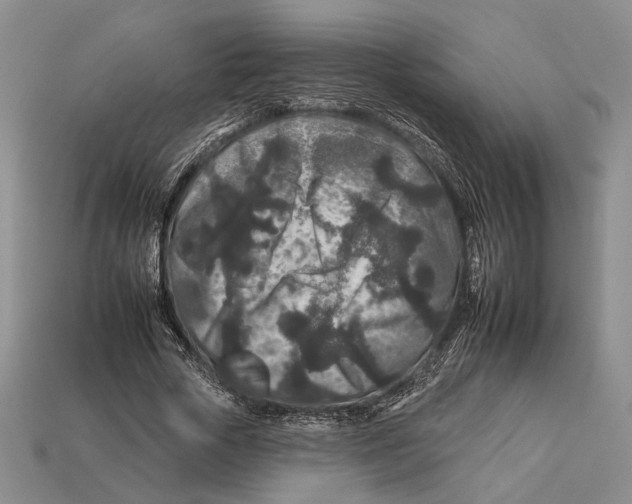 X0000112930729200909211113