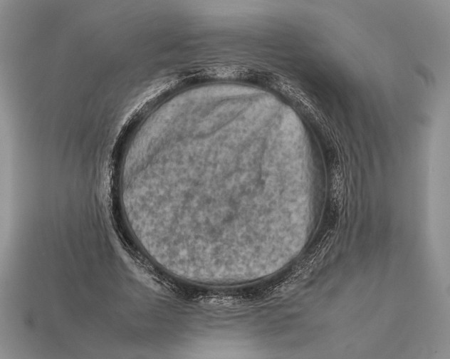 X0000112930730200909211113
