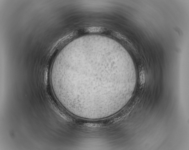 X0000112930733200909211113