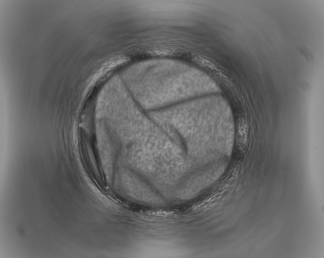 X0000112930734200909211113