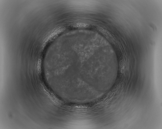 X0000112930735200909211113