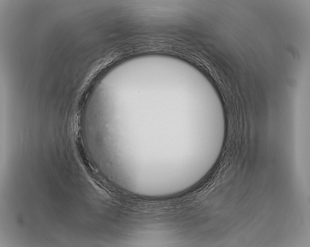 X0000112930736200909211113