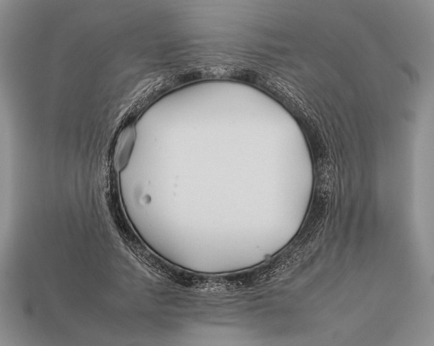 X0000112930738200909211113