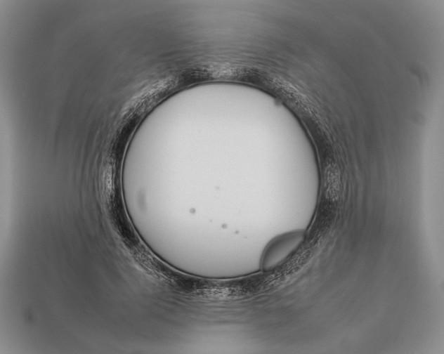X0000112930740200909211113