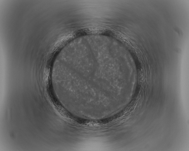 X0000112930742200909211113