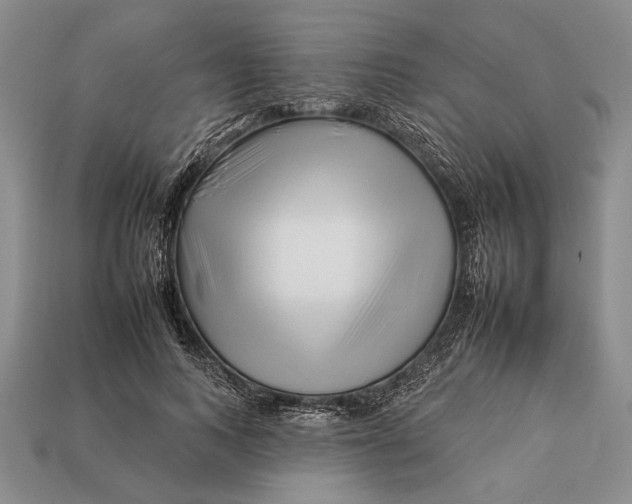 X0000112930743200909211113