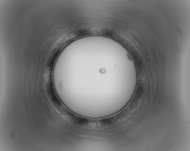 X0000112930744200909211113