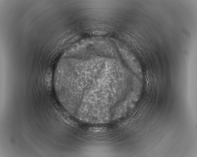X0000112930745200909211113