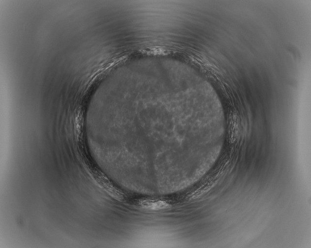 X0000112930747200909211113