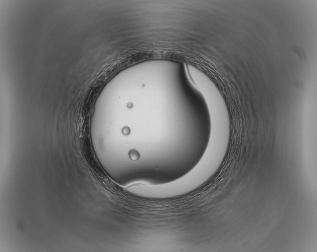 X0000112930750200909211113