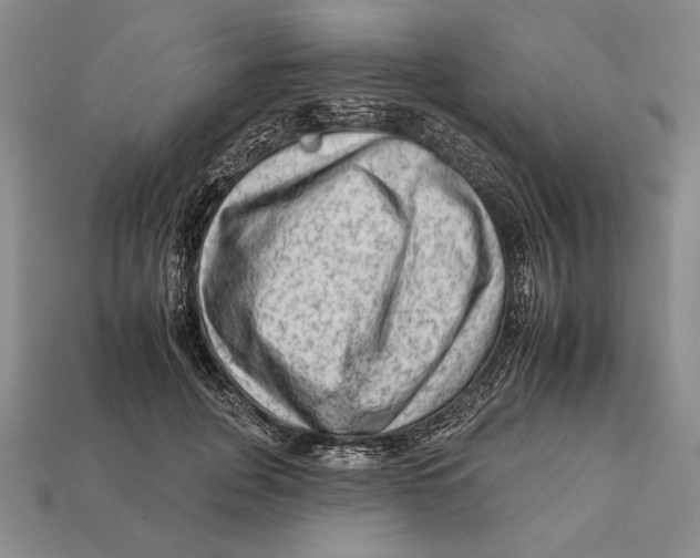 X0000112930751200909211113