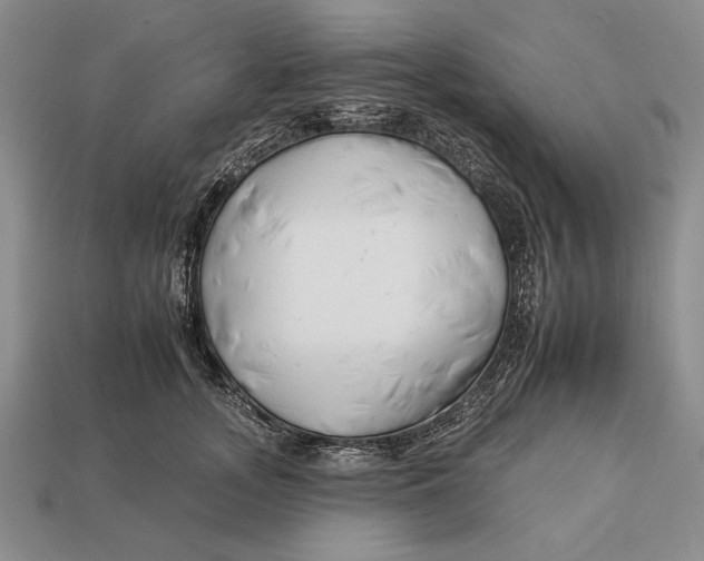 X0000112930755200909211113