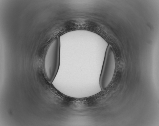 X0000112930756200909211113