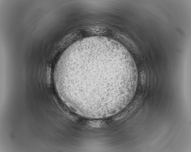 X0000112930757200909211113
