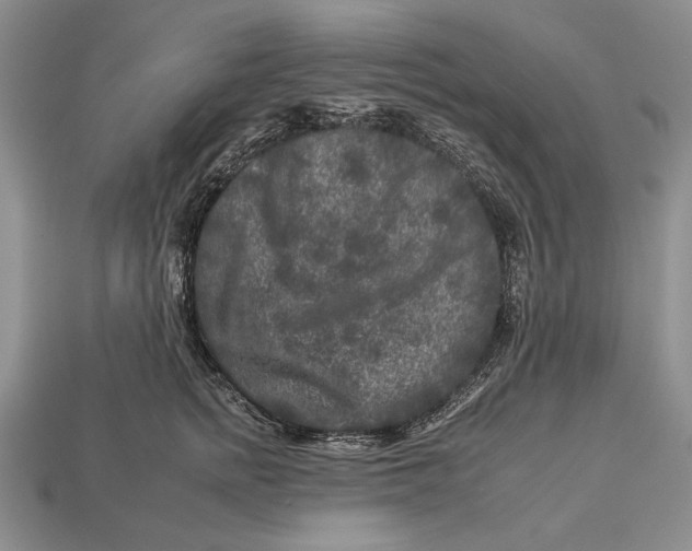 X0000112930758200909211113