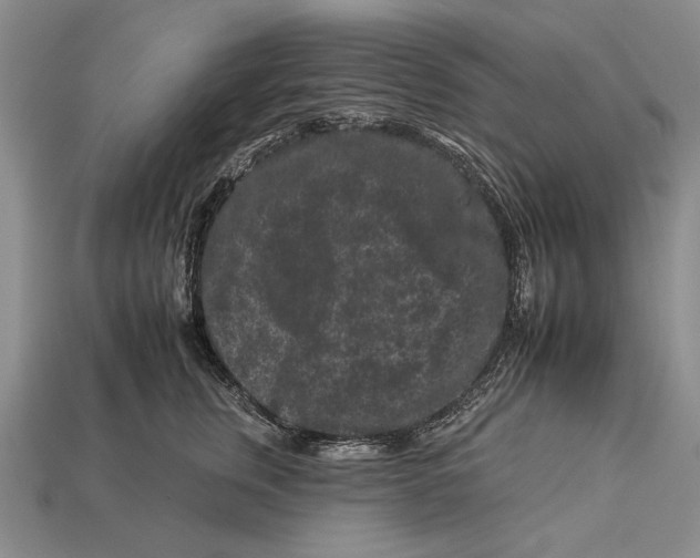 X0000112930759200909211113