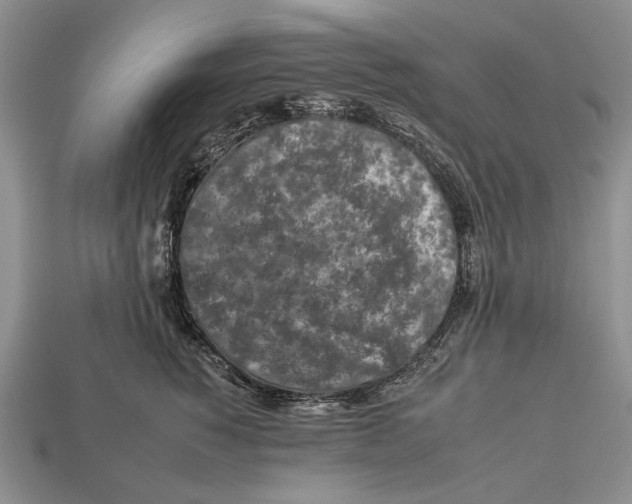 X0000112930760200909211113