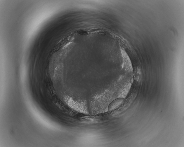 X0000112930763200909211113