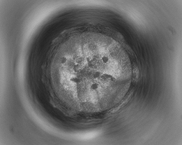 X0000112930765200909211113