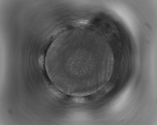X0000112930767200909211113