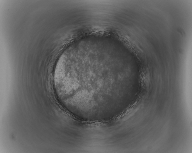 X0000112930769200909211113