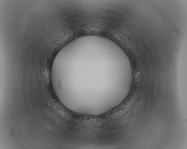 X0000112930772200909211113