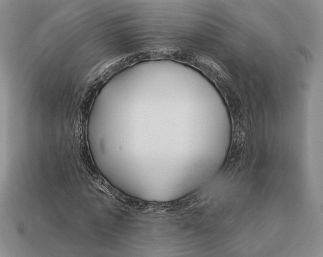 X0000112930773200909211113