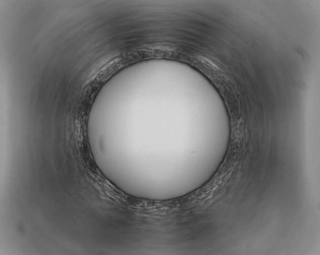 X0000112930774200909211113