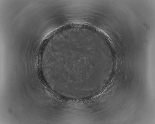 X0000112930775200909211113