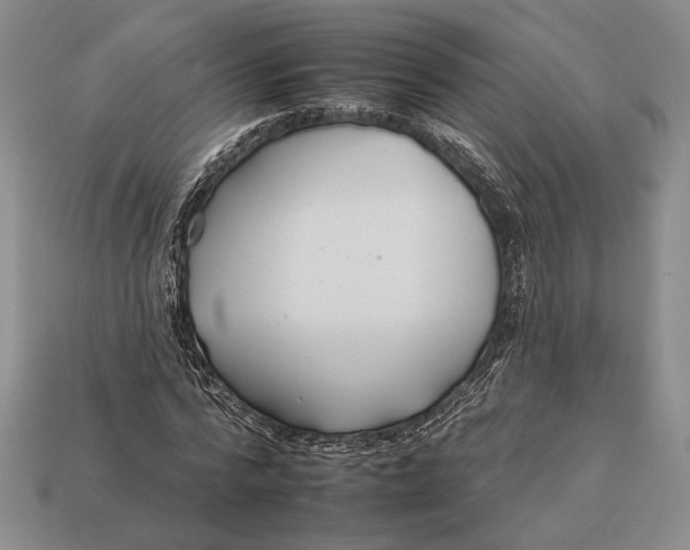 X0000112930776200909211113