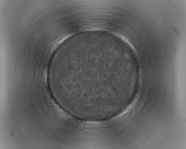 X0000112930777200909211113