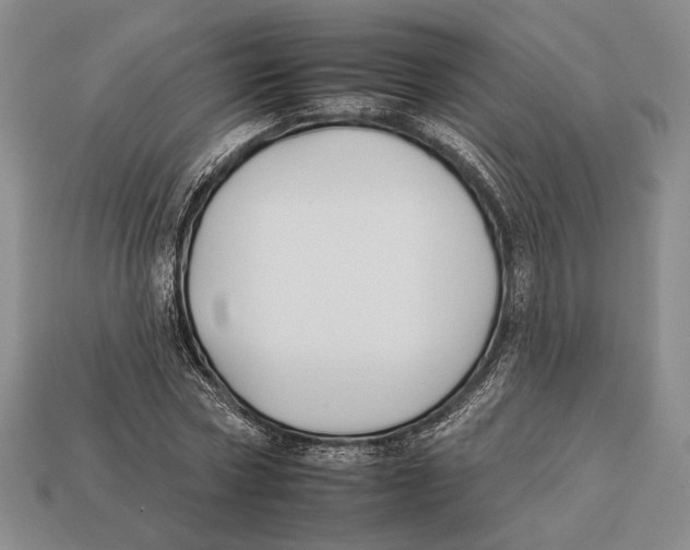 X0000112930778200909211113