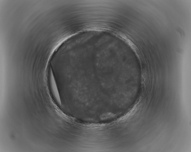 X0000112930779200909211113