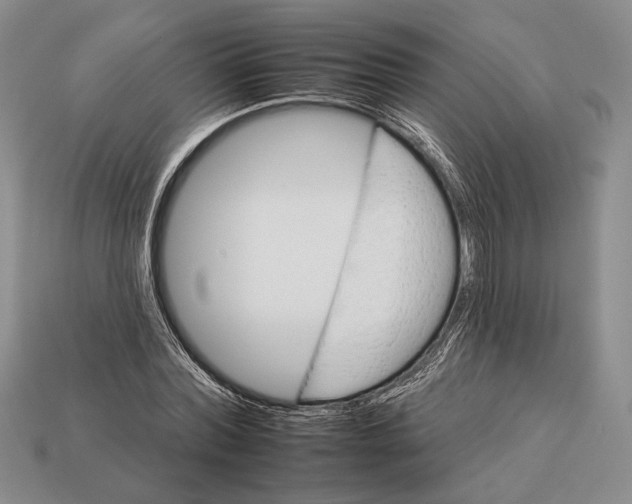X0000112930780200909211113