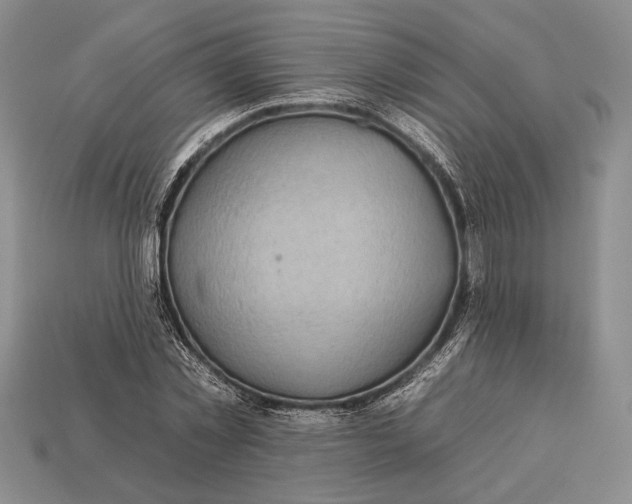 X0000112930781200909211113