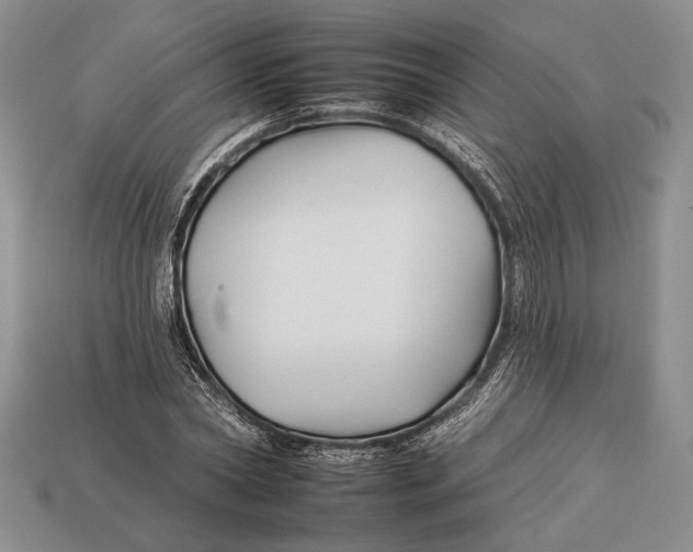 X0000112930782200909211113