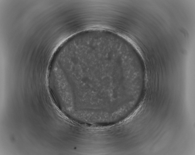 X0000112930783200909211113