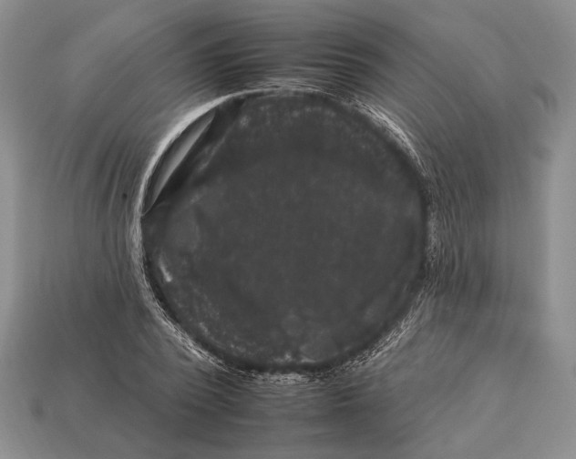 X0000112930784200909211113