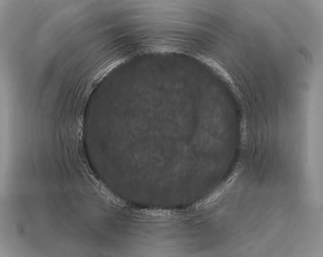 X0000112930785200909211113
