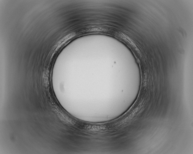 X0000112930786200909211113