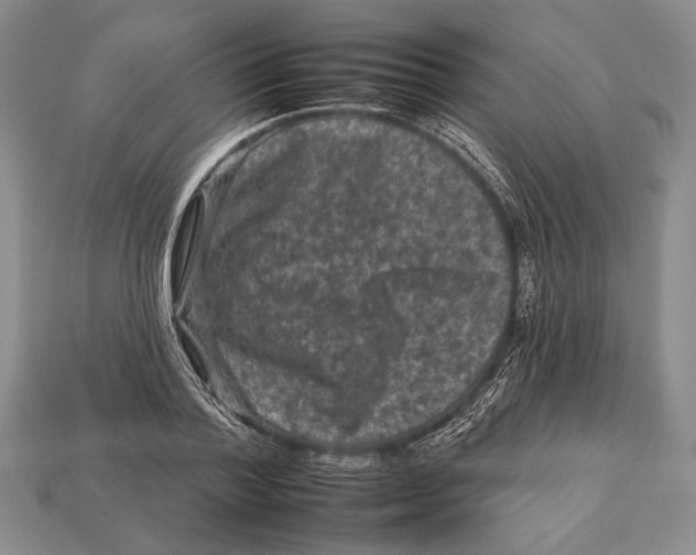 X0000112930788200909211113