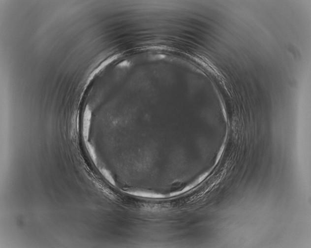 X0000112930790200909211113