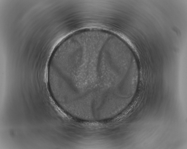 X0000112930791200909211113