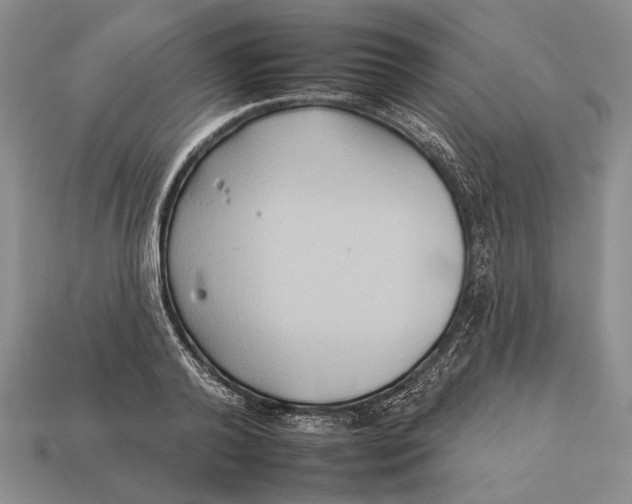 X0000112930792200909211113