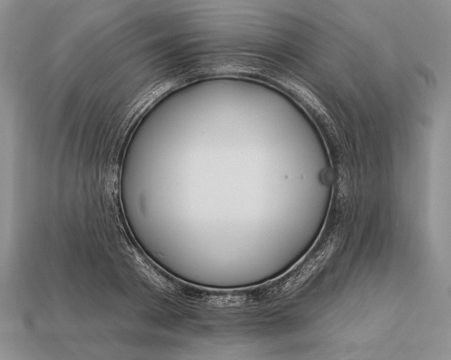 X0000112930793200909211112