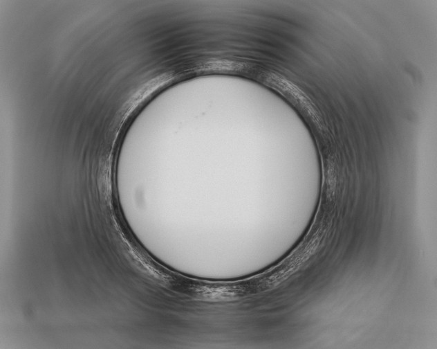 X0000112930794200909211112