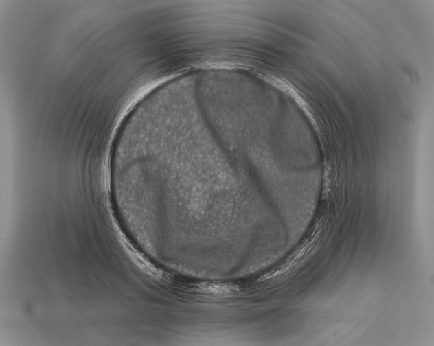X0000112930795200909211112
